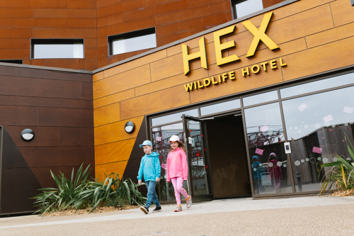 Ywp25clothinghotel 129