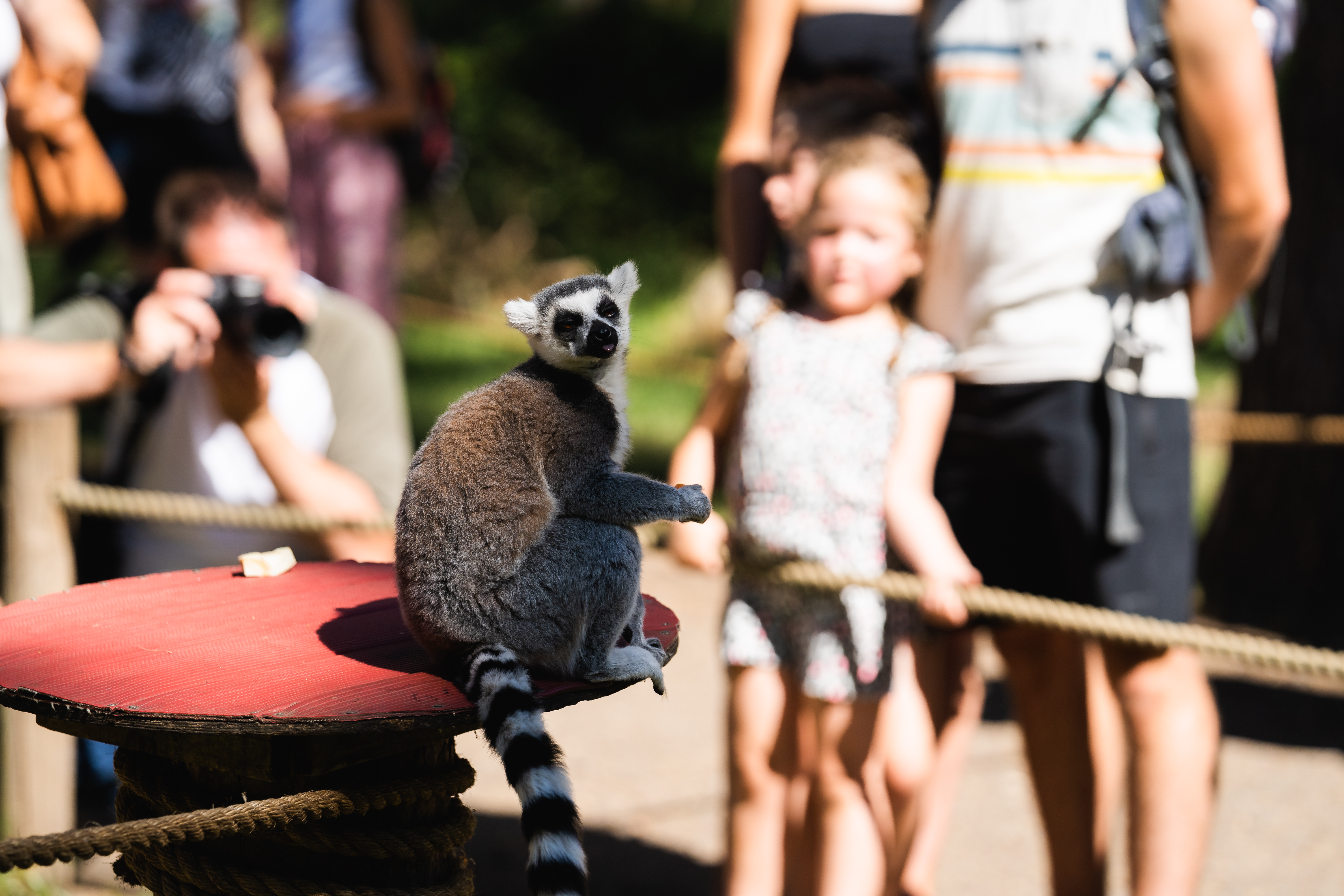 Ben Harrison Photography Www Benharrisonphotography Co Uk 53