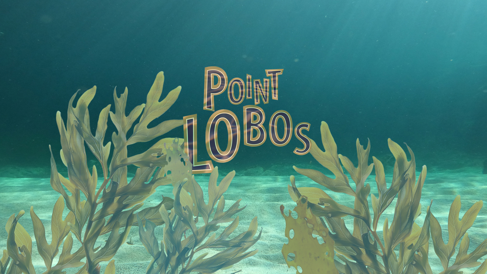 Point Lobos Carousel