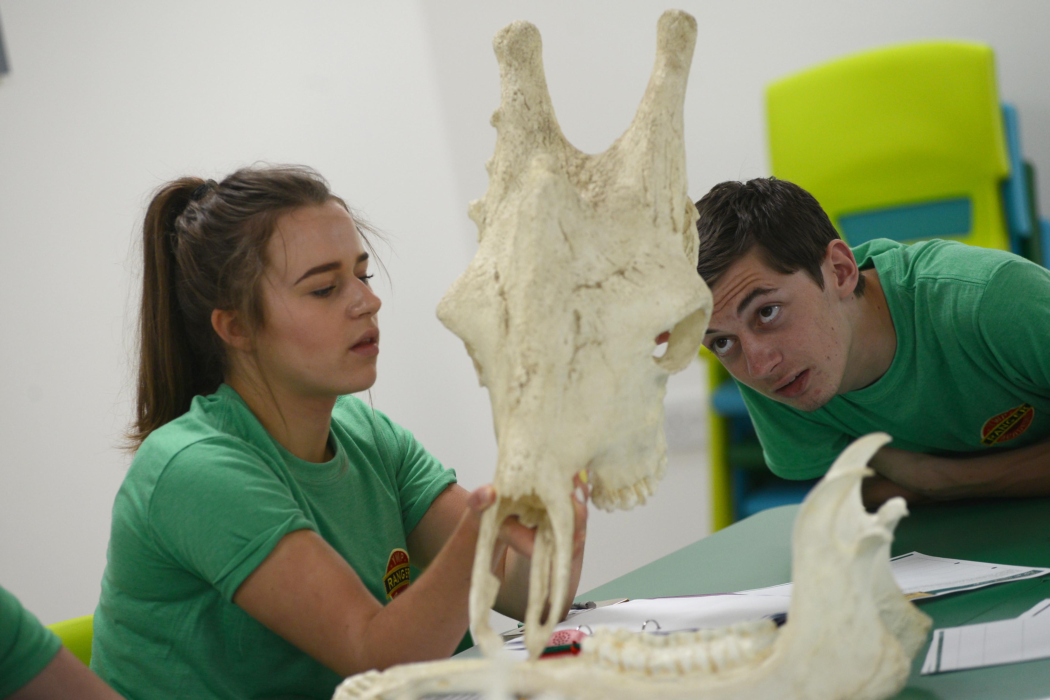 20737137091 57E9e35e5b O