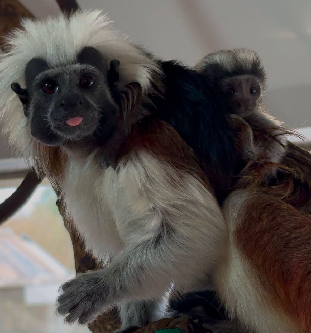 Photo 2025 02 17 10 50 00 2