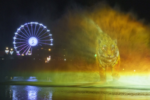 YWP Winter Lights 017