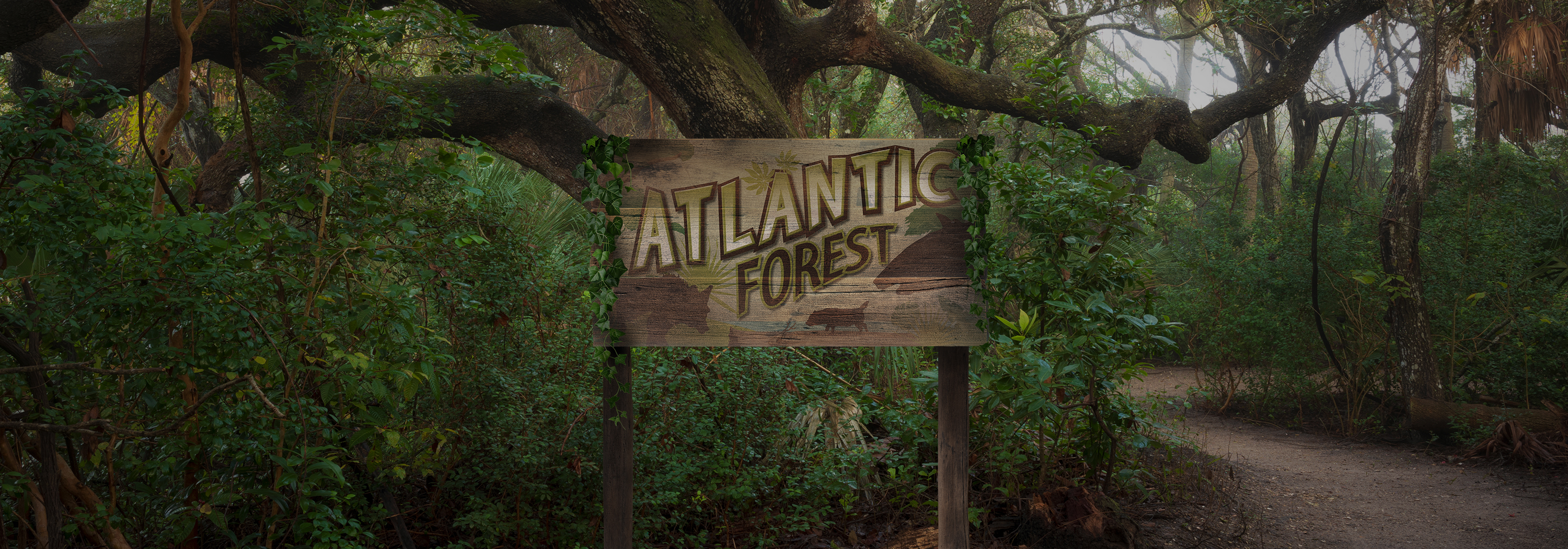 Atlantic Forest Carousel