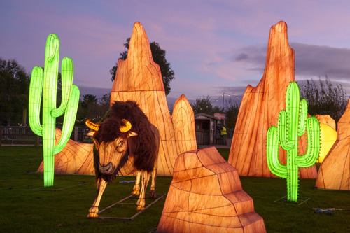 YWP Winter Lights 021