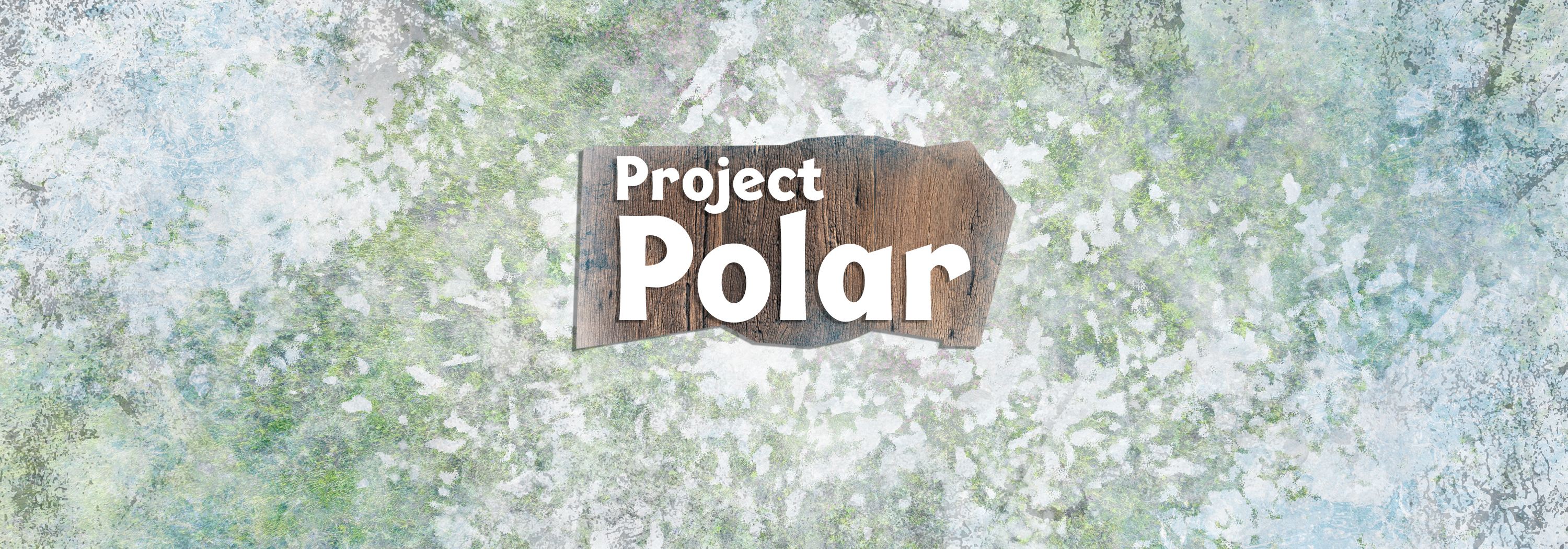 Project Polar Carousel