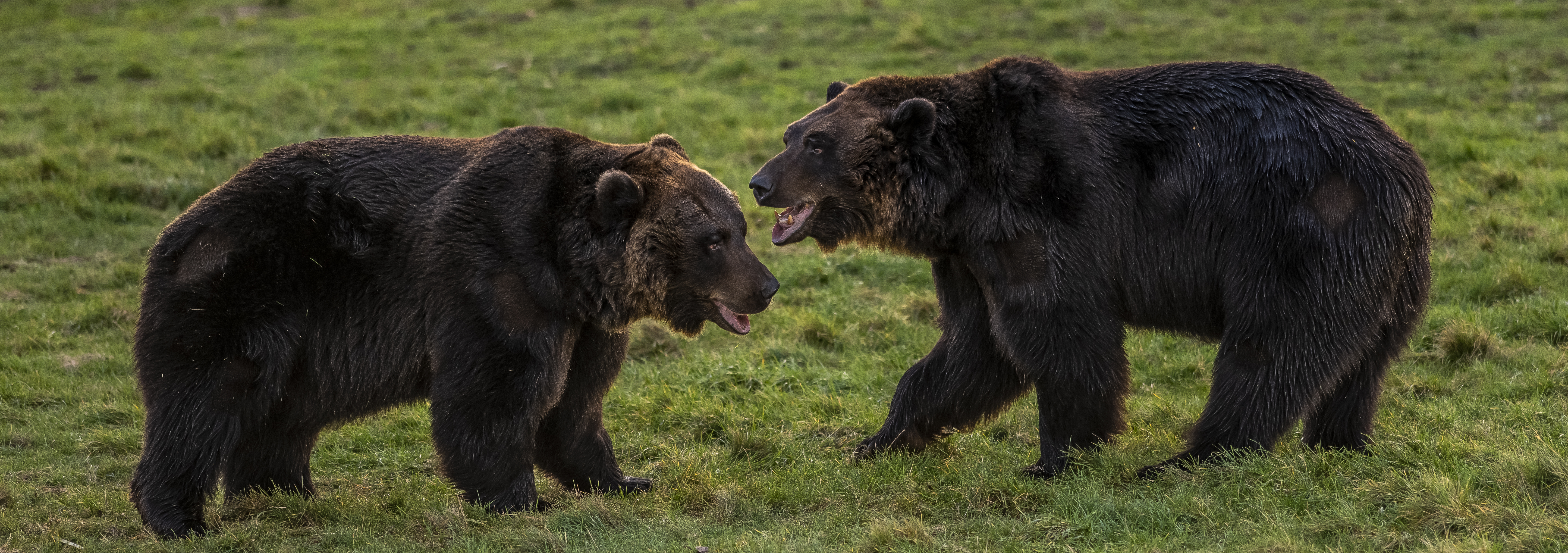 46106192404 3F3825b96b O