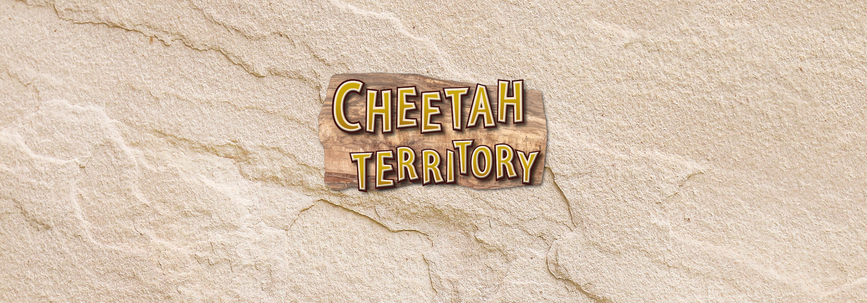 Cheetah Website Carosel