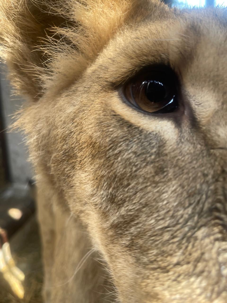 9438A023 2Def 46E2 Bda1 1110Ae786469 3