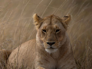 Adobestock 488157860