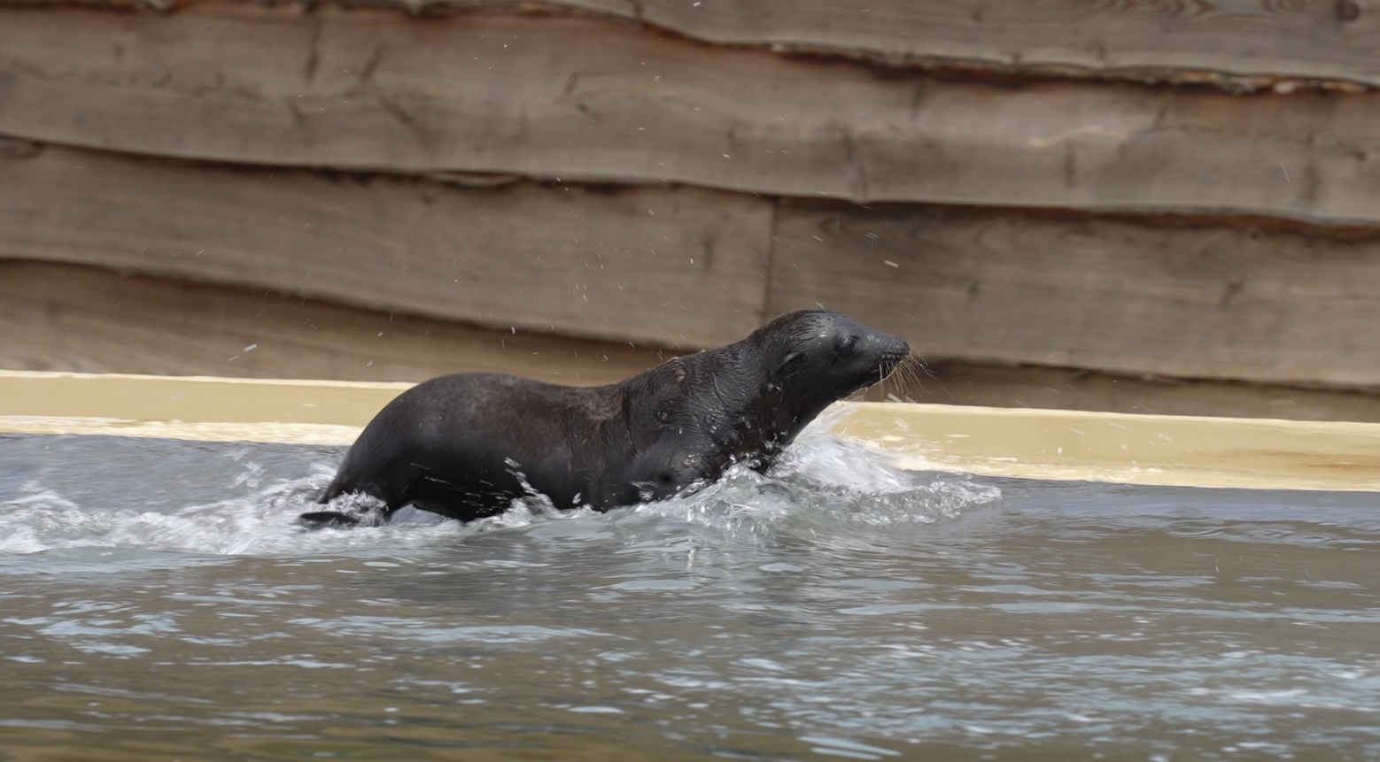 Screenshot 2023 07 20 At 11 34 47