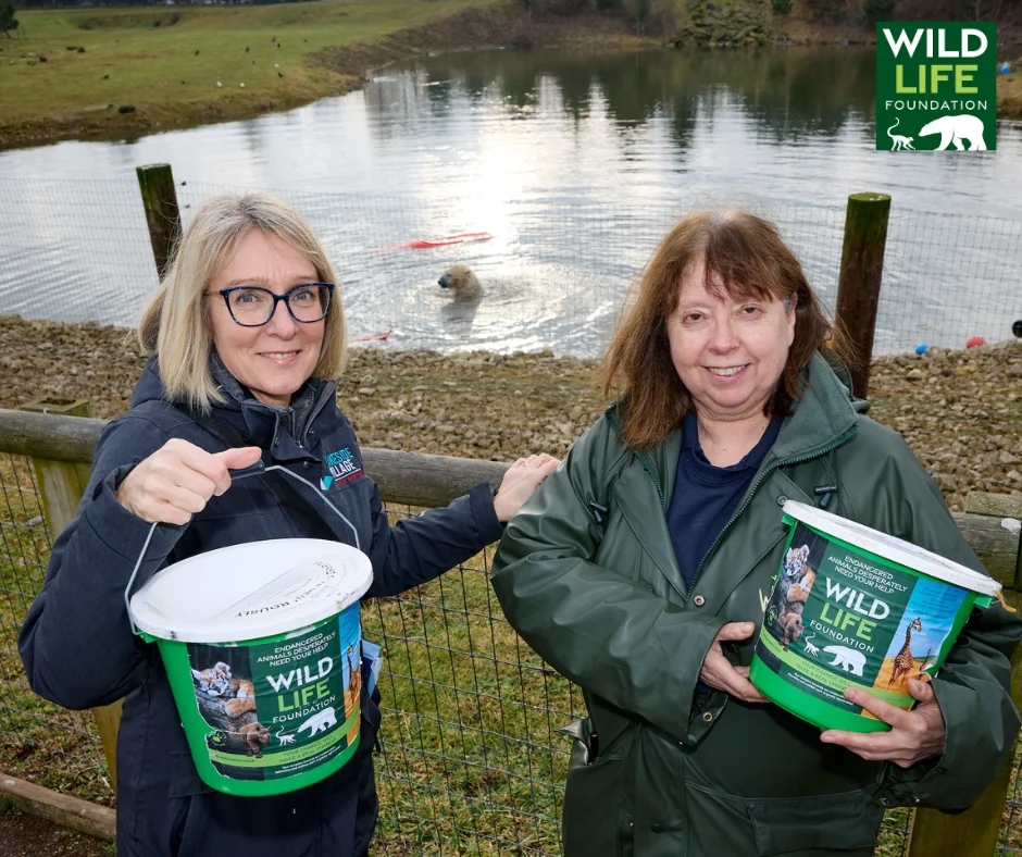 Lakesides Grotto Donation Fblinkedin 1