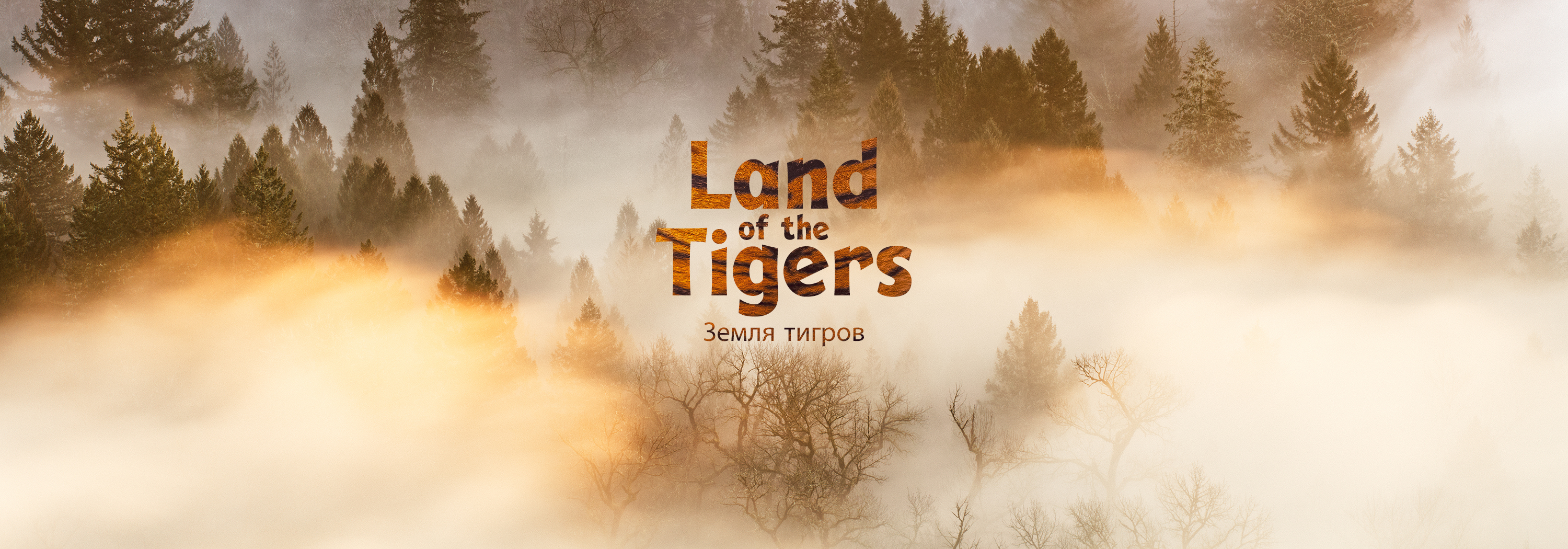 Land Of The Tigers Carousel