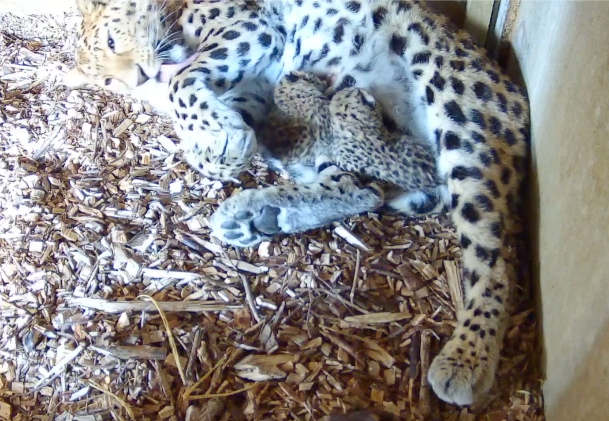 Whatsapp Image 2025 05 01 At 10.40.08 (1)