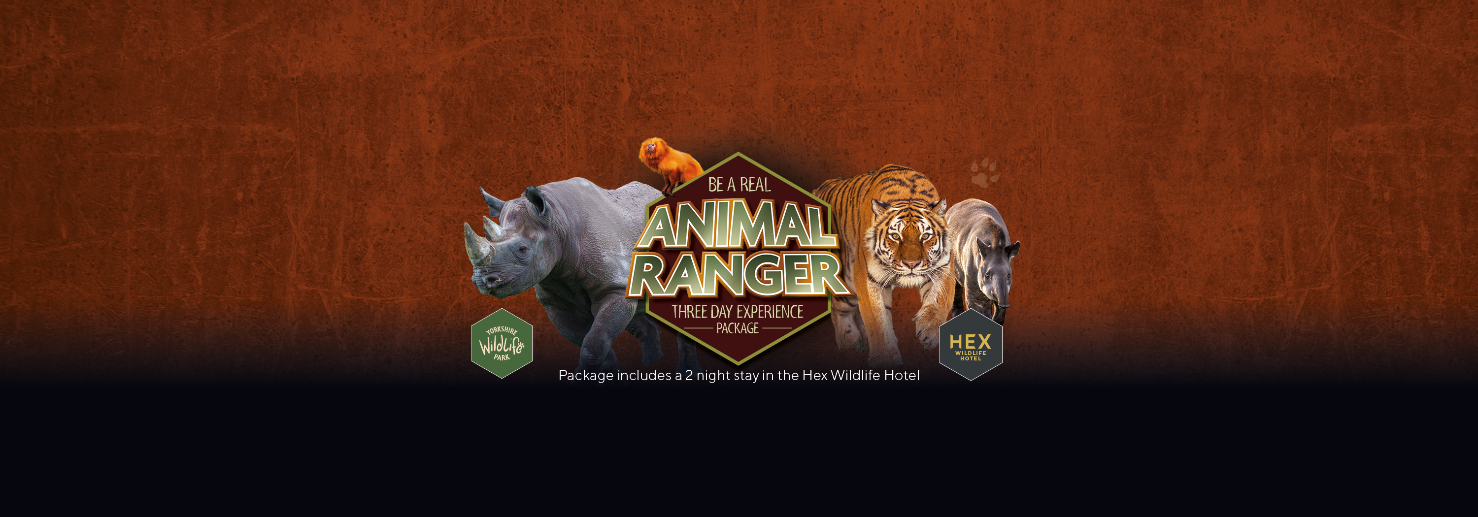 Ywp 2409 Web Carousel 3000 X 1050 Be A Real Ranger