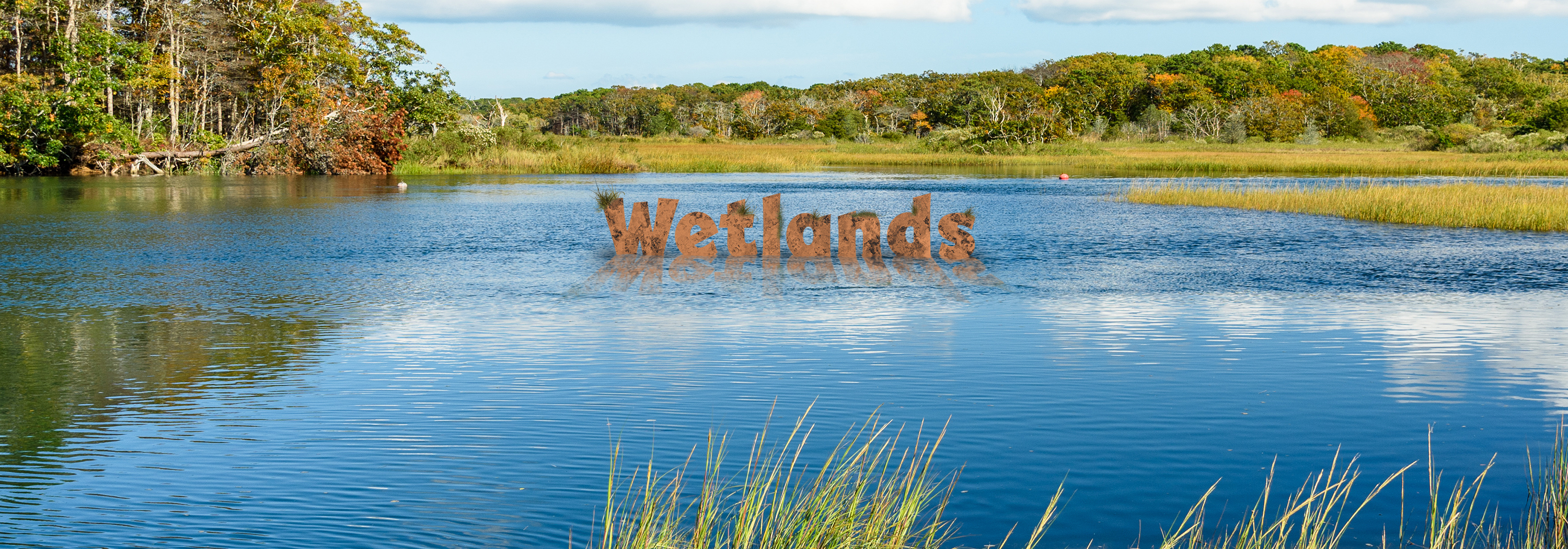 Wetlands Carousel (1)