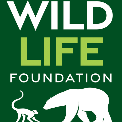 Ywp 1810 Colour Wildlife Foundation Logo 1 Large Square